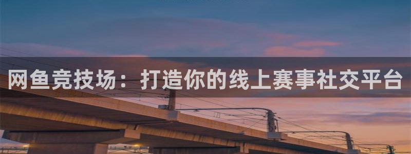 火狐电竞网页：网鱼竞技场：打造你的线上赛事社交平台