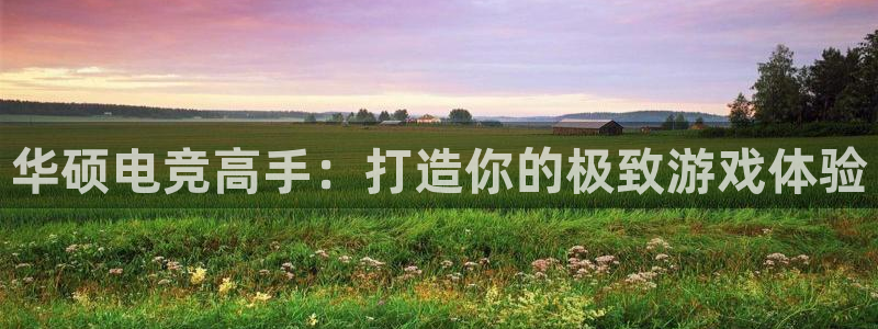 火狐电竞体育平台：华硕电竞高手：打造你的极致游戏体验