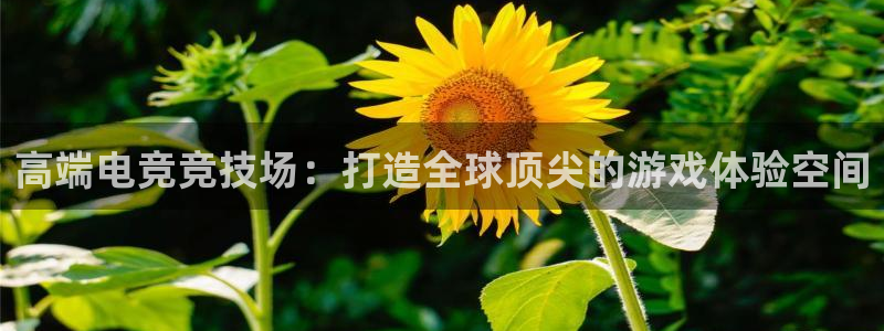 火狐电竞宾馆：高端电竞竞技场：打造全球顶尖的游戏体验空间